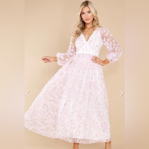 Red Dress Boutique Dresses & Skirts - Red Dress Boutique Floral Embroidered Maxi Dress